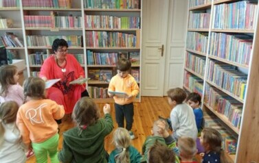 Motyle w bibliotece 2