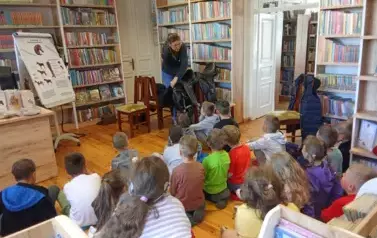 Dzień Konia 19