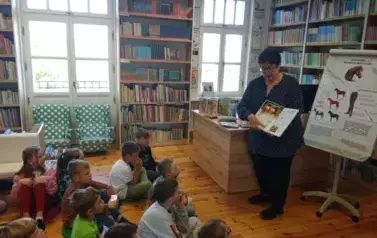 Dzień Konia 45