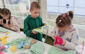 IMG_20260708_105347