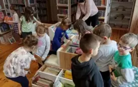 zaw&oacute;d bibliotekarza  2