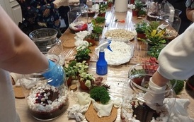 IMG_20260307_103338