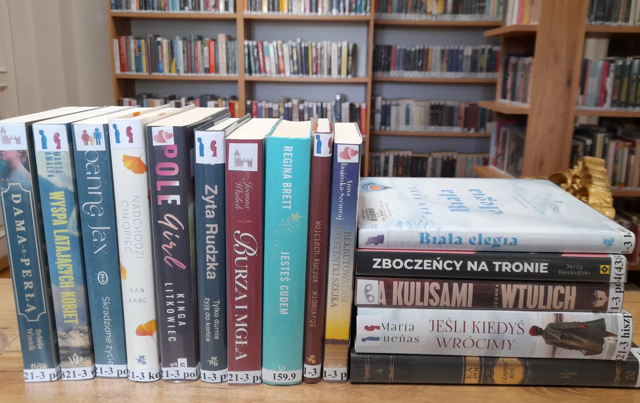 Zdjęcie do Nowości wydawnicze w Wypożyczalni dla dorosłych &nbsp;